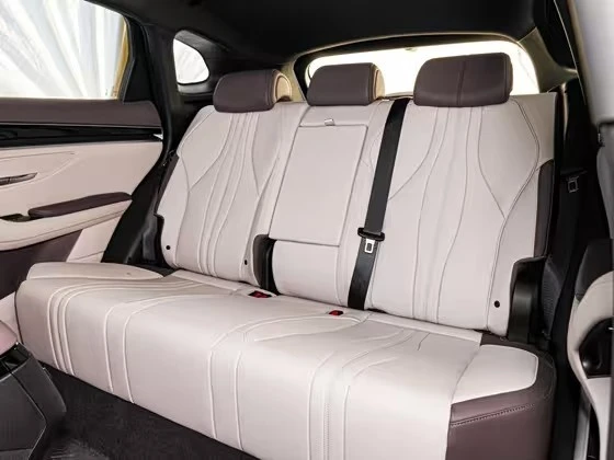 Song PLUS 2025 DM-i 75KM Deluxe Model price